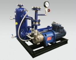 四川2BVA系列水环式真空泵